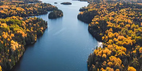 An image depicting the trail Sentier du Lac Kénogami and its surrounding area.