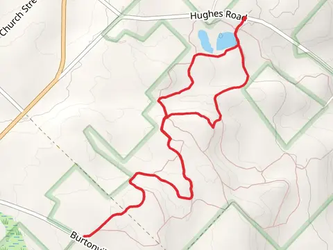 Snowmobile Loop Trail