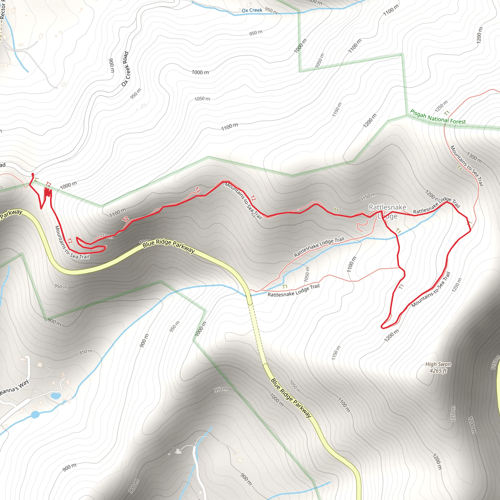 Rattlesnake Lodge Loop Trail mobile static map