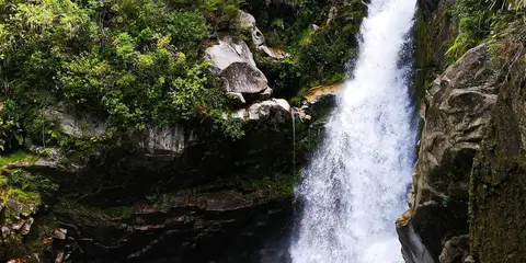 An image depicting the trail Wainui Falls Track and its surrounding area.