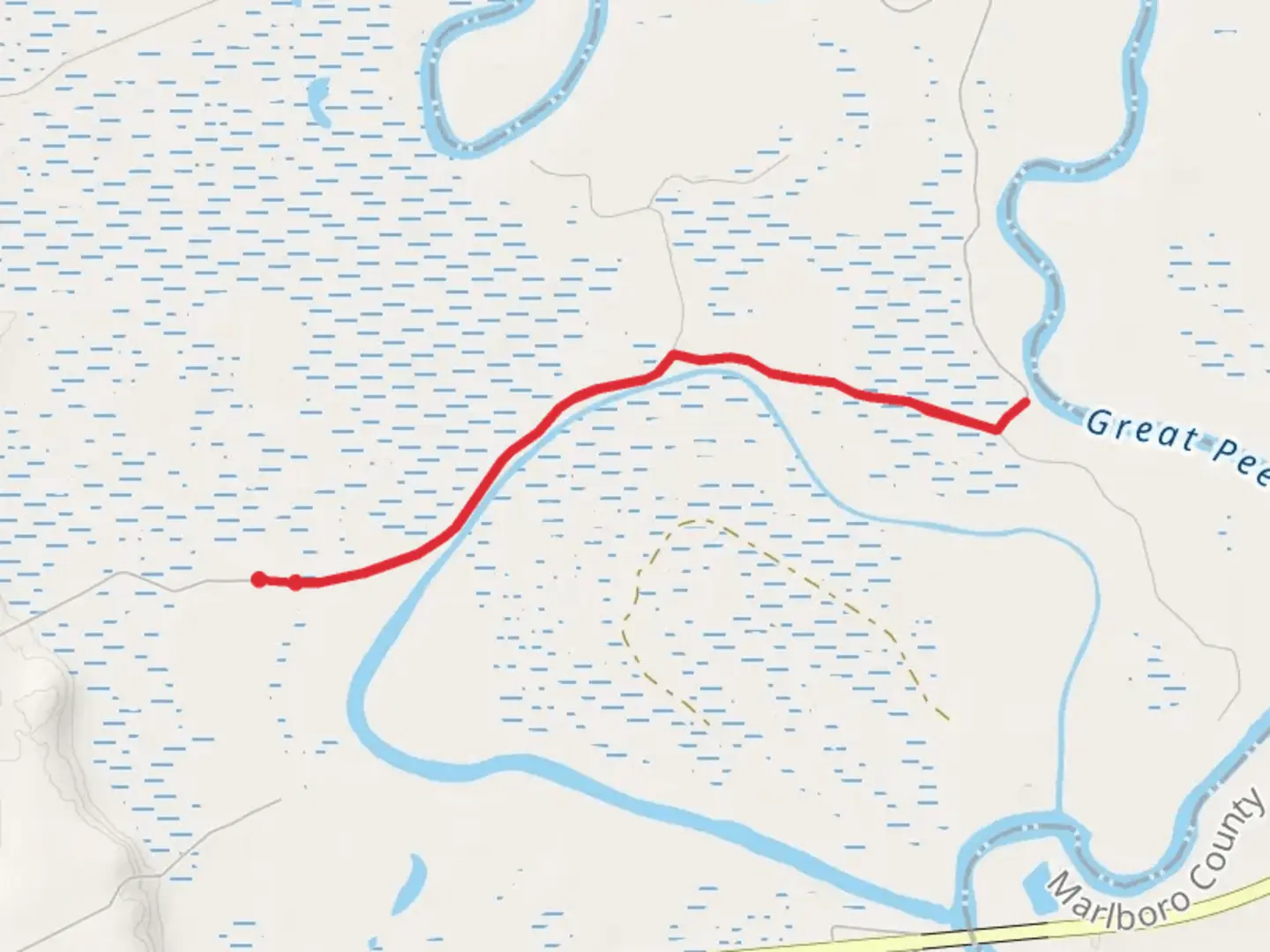 An image depicting the trail Great Pee Dee River Out and Back and its surrounding area.