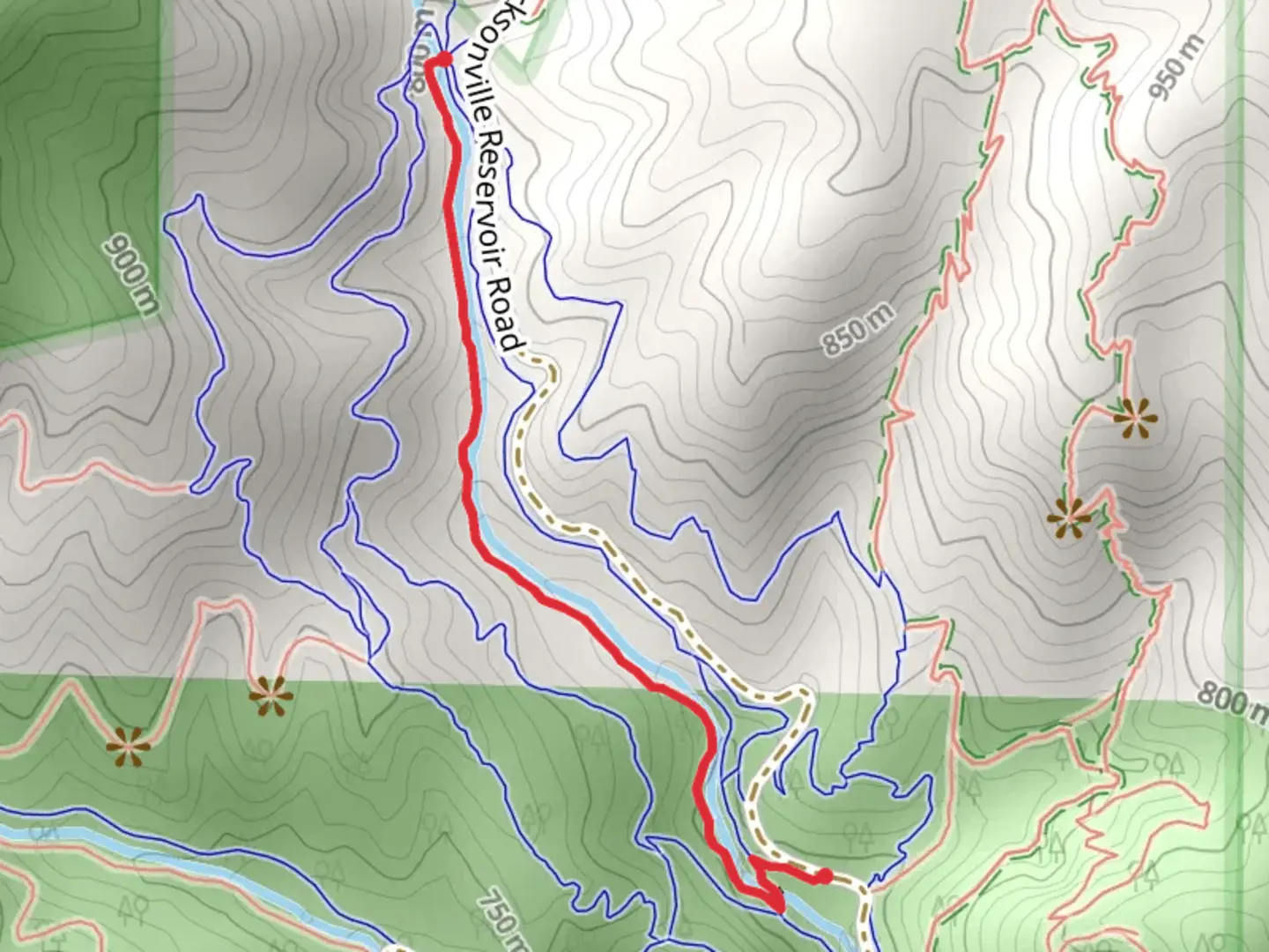 An image depicting the trail Cantrall Creek Trail and its surrounding area.