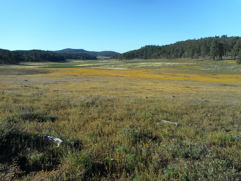 An image depicting the trail Little Laguna Lake via Big Laguna Trail and its surrounding area.