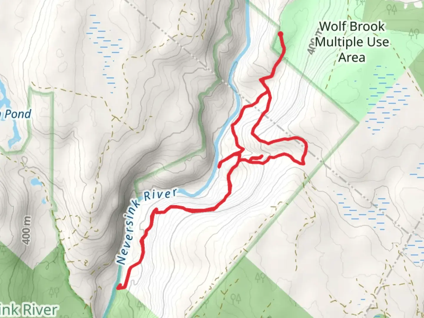 An image depicting the trail Blue Trail East and High Falls Loop and its surrounding area.