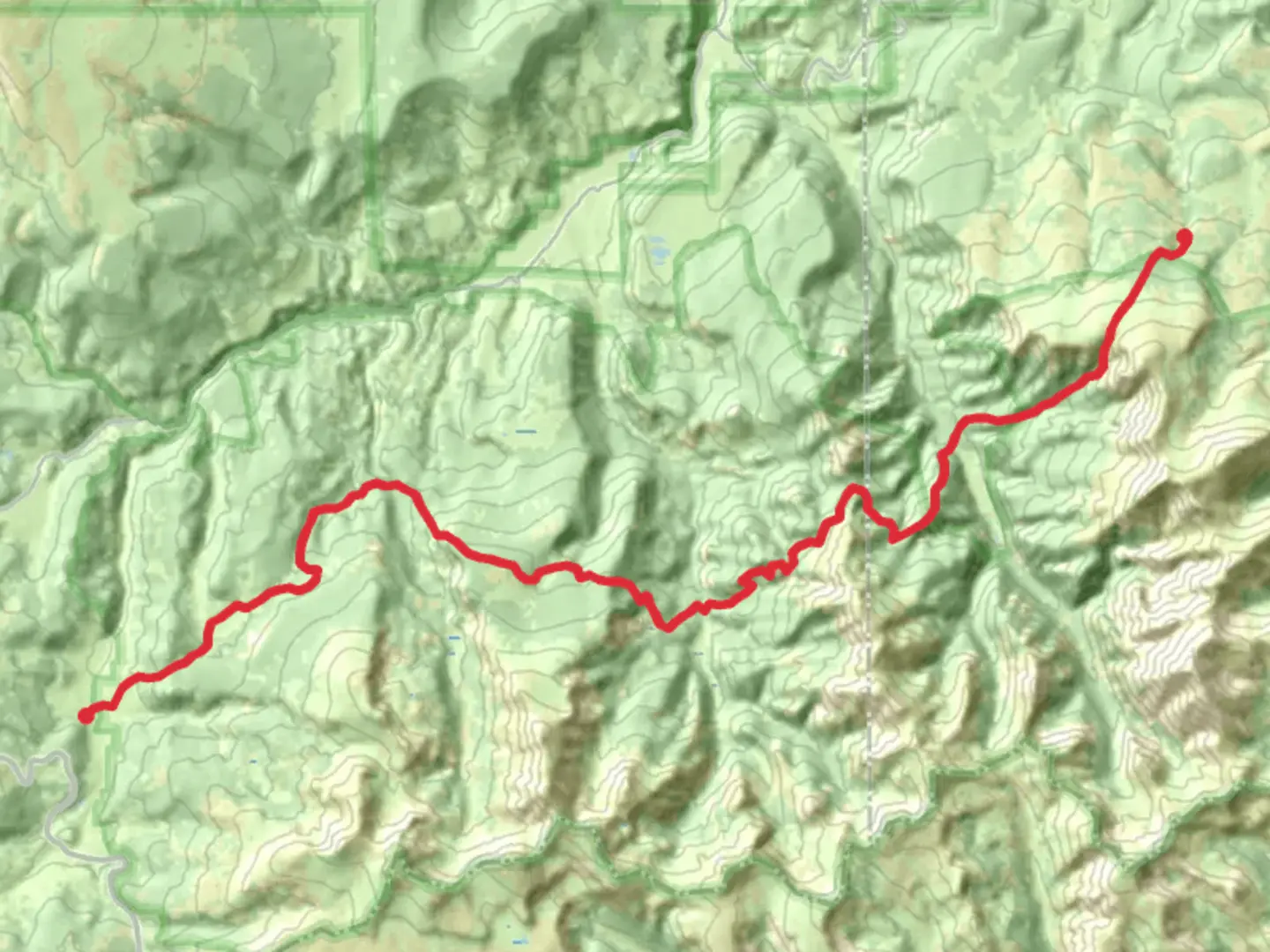 An image depicting the trail Cebolla Trail and its surrounding area.