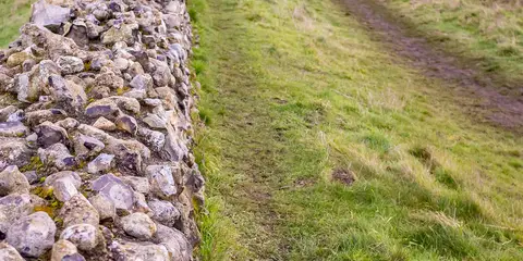 An image depicting the trail Lindsey Loop and its surrounding area.
