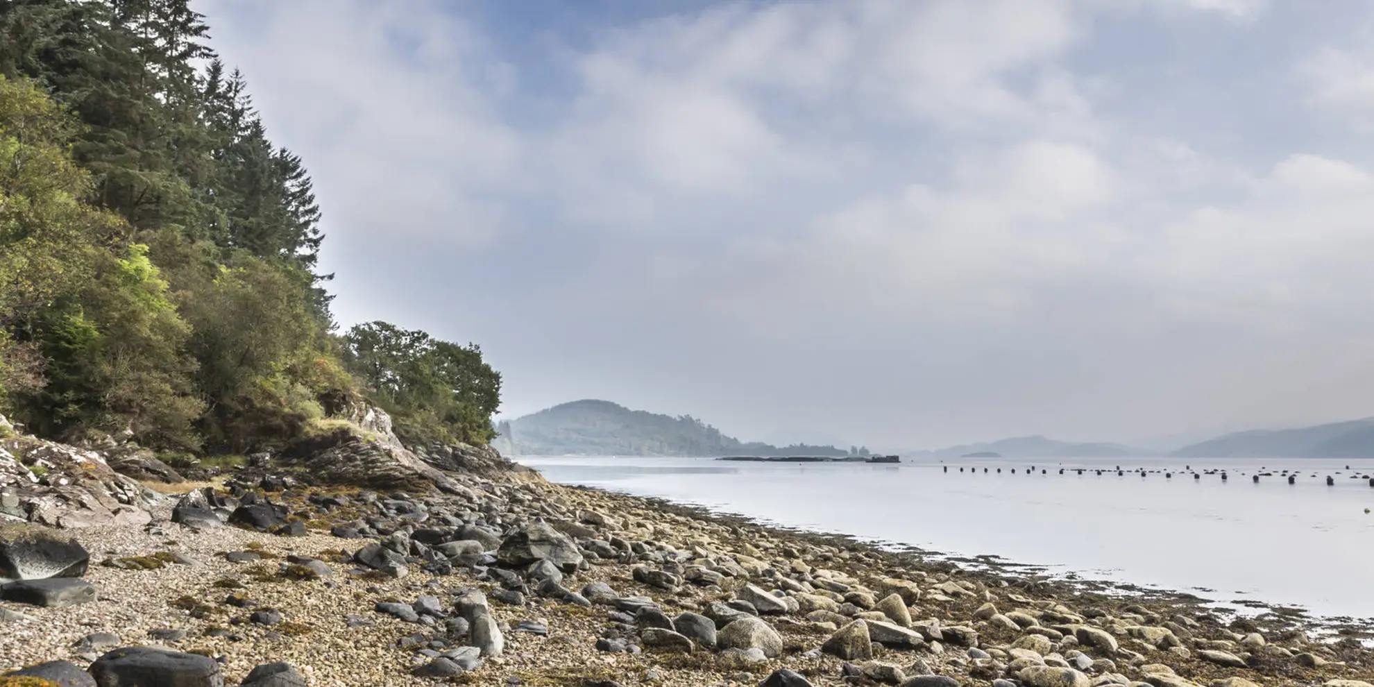 An image depicting the trail Ardcastle Point Loop Trail and its surrounding area.