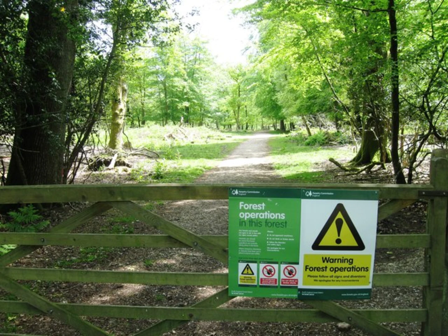 An image depicting the trail Hawkhill Inclosure Loop and its surrounding area.