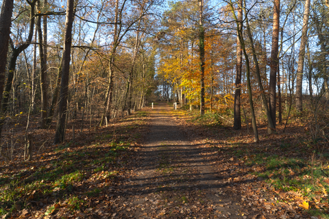 Landgoed Petrea and Wapenvelderzand Loop