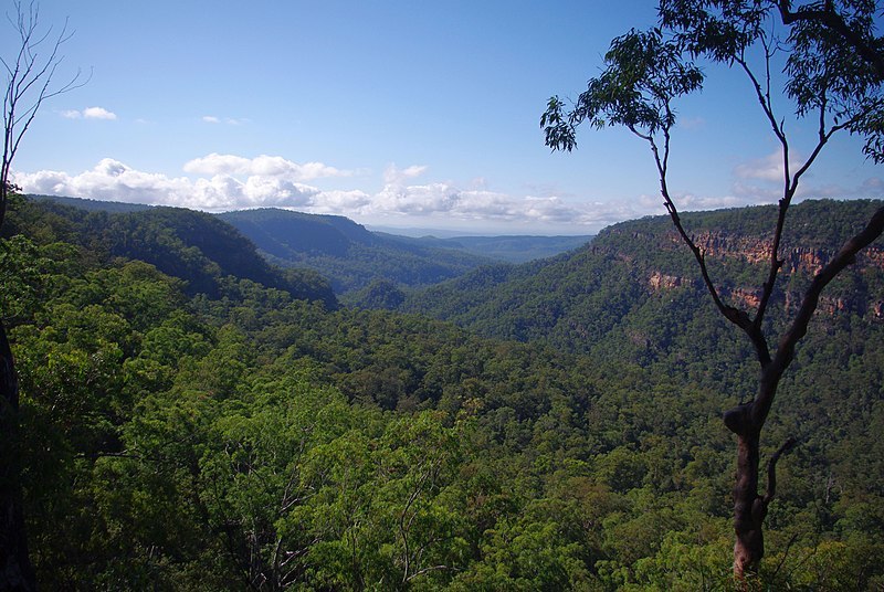 Best trails in Central Highlands Queensland Hiiker
