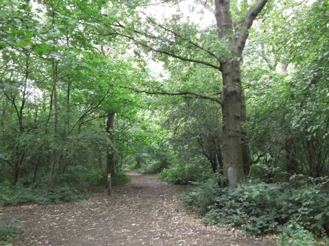 An image depicting the trail Falconwood to Grove Park Walk and its surrounding area.
