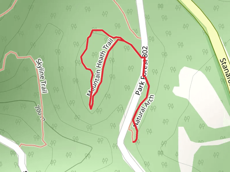 Mountain Heath Loop Trail