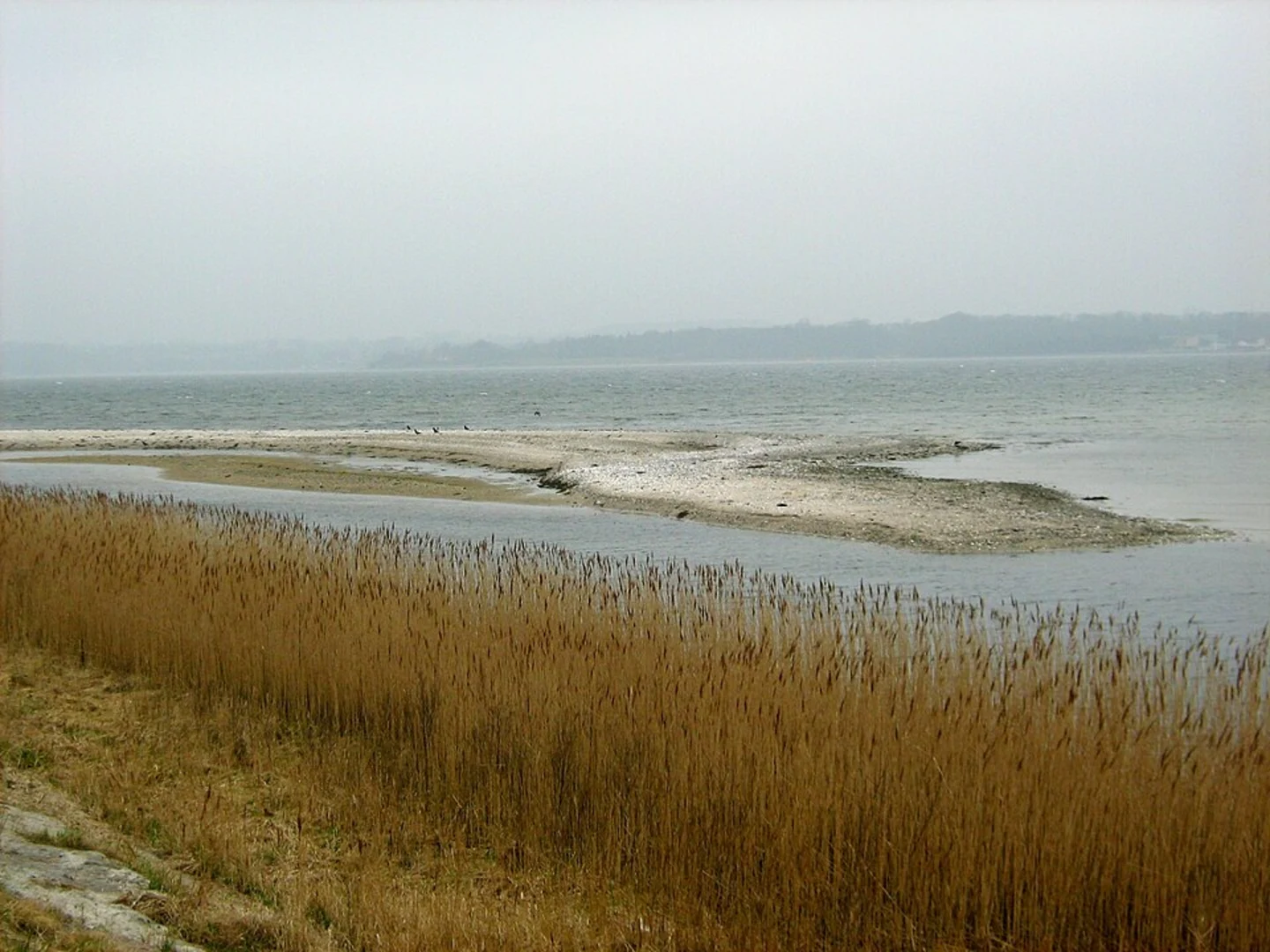 An image depicting the trail Holnis Scenic Loop via Kleines Noor and its surrounding area.