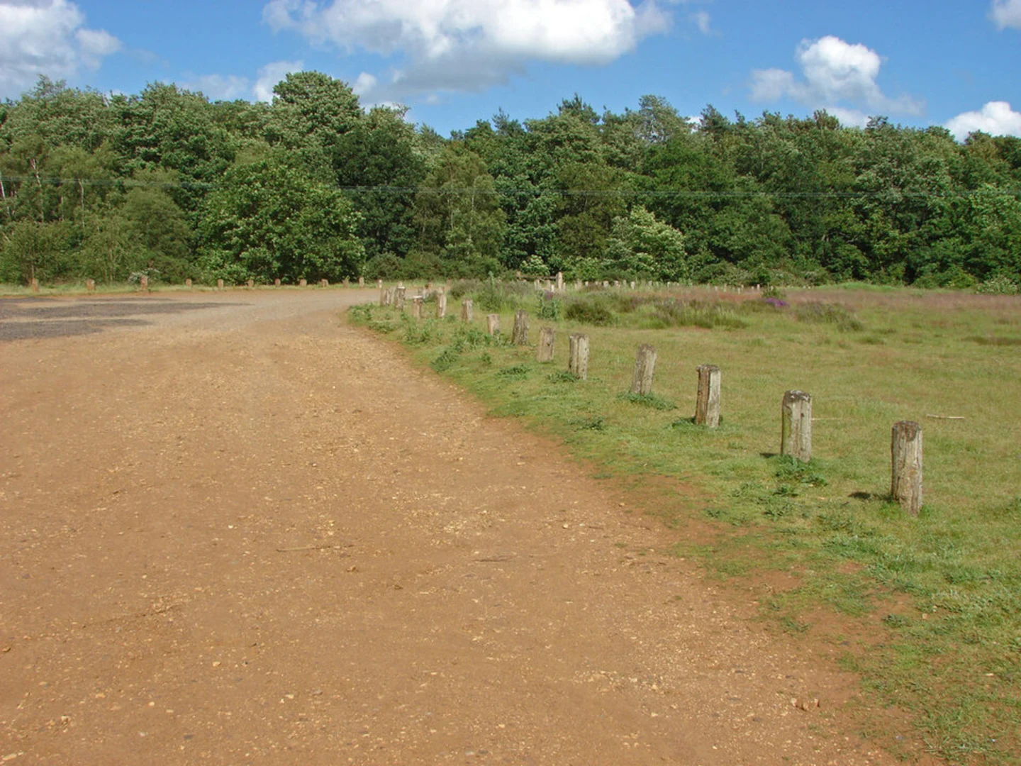 An image depicting the trail Puttenham Common Loop and its surrounding area.