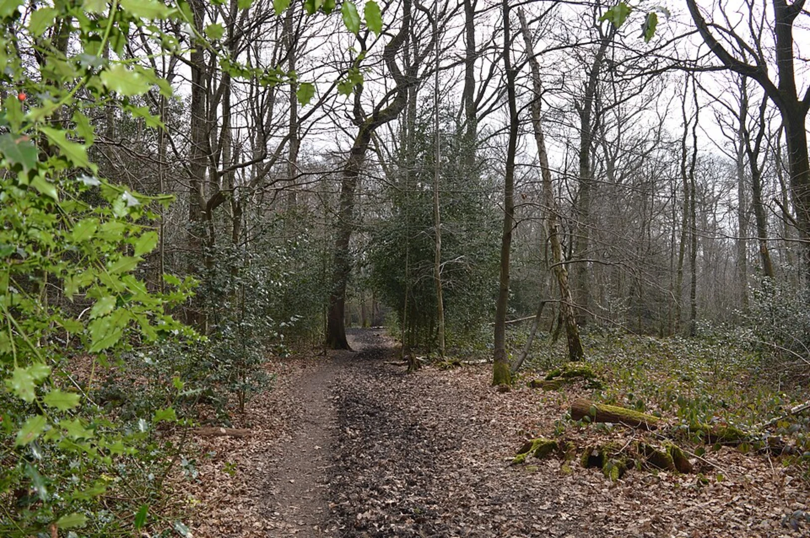 An image depicting the trail Welwyn, Tewin and Ayot Green Loop and its surrounding area.