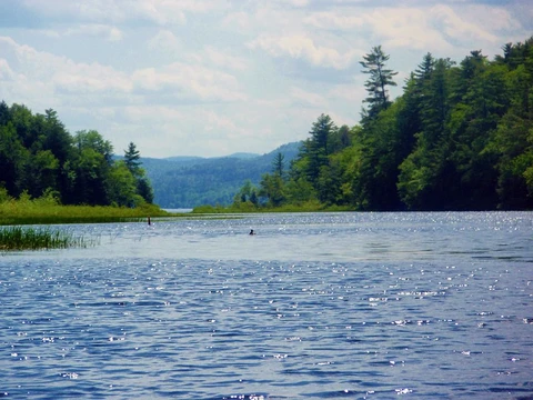An image depicting the trail Tongue Mountain Range Loop and its surrounding area.