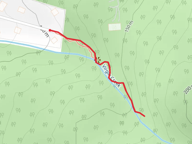 Walk along Virgin Creek