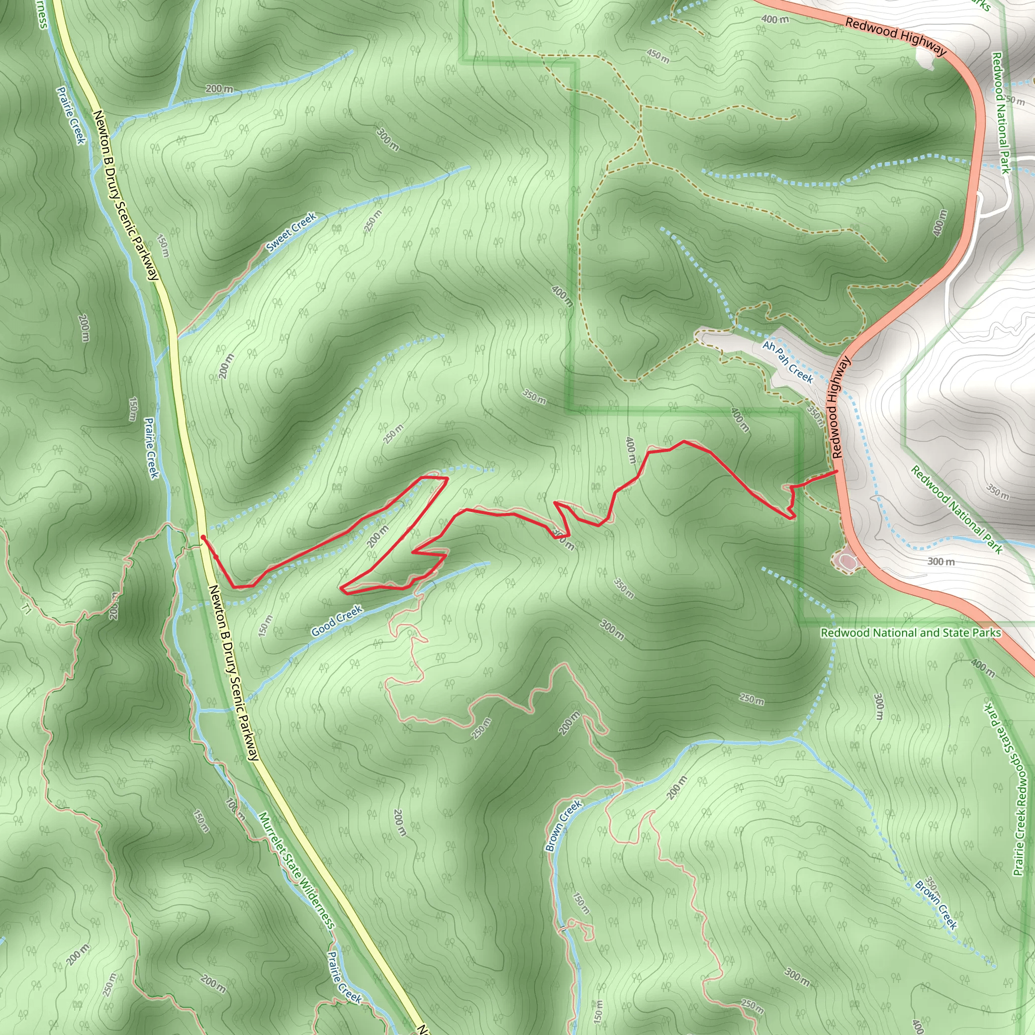 Rhododendron and CREA Trail mobile static map