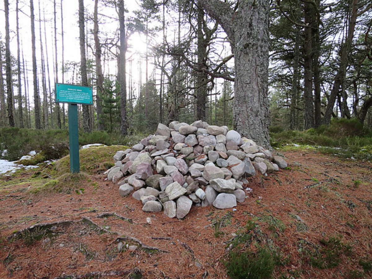 Small Burn Loop Trail