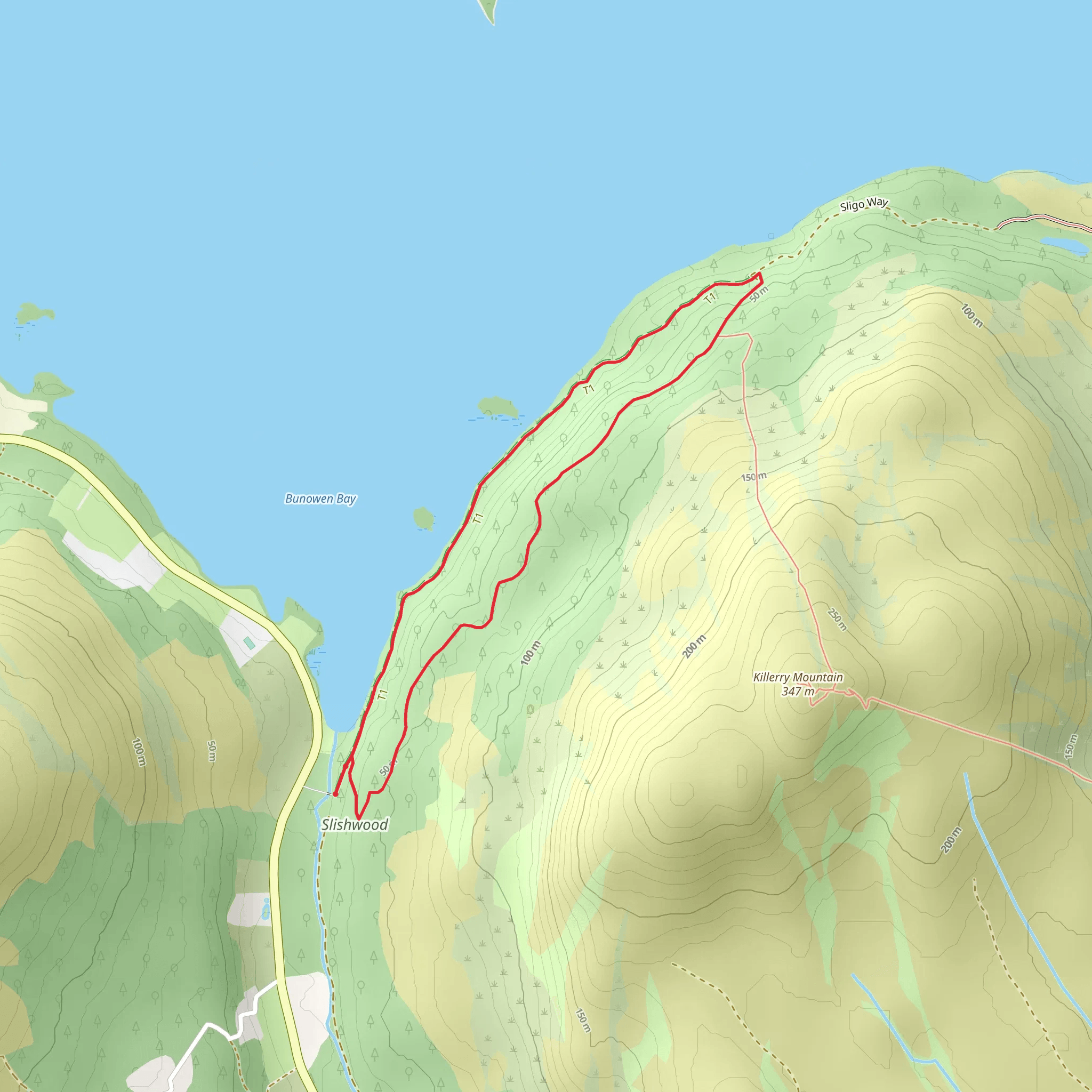 Slishwood - Forest Walk mobile static map