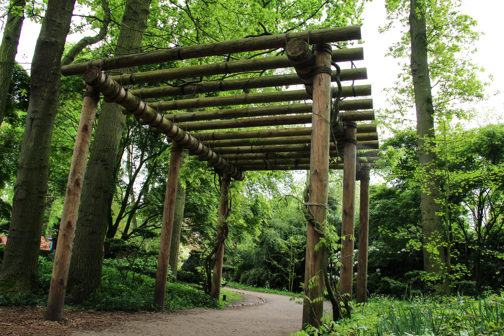 An image depicting the trail Tramwei and Kleasterwei Loop and its surrounding area.