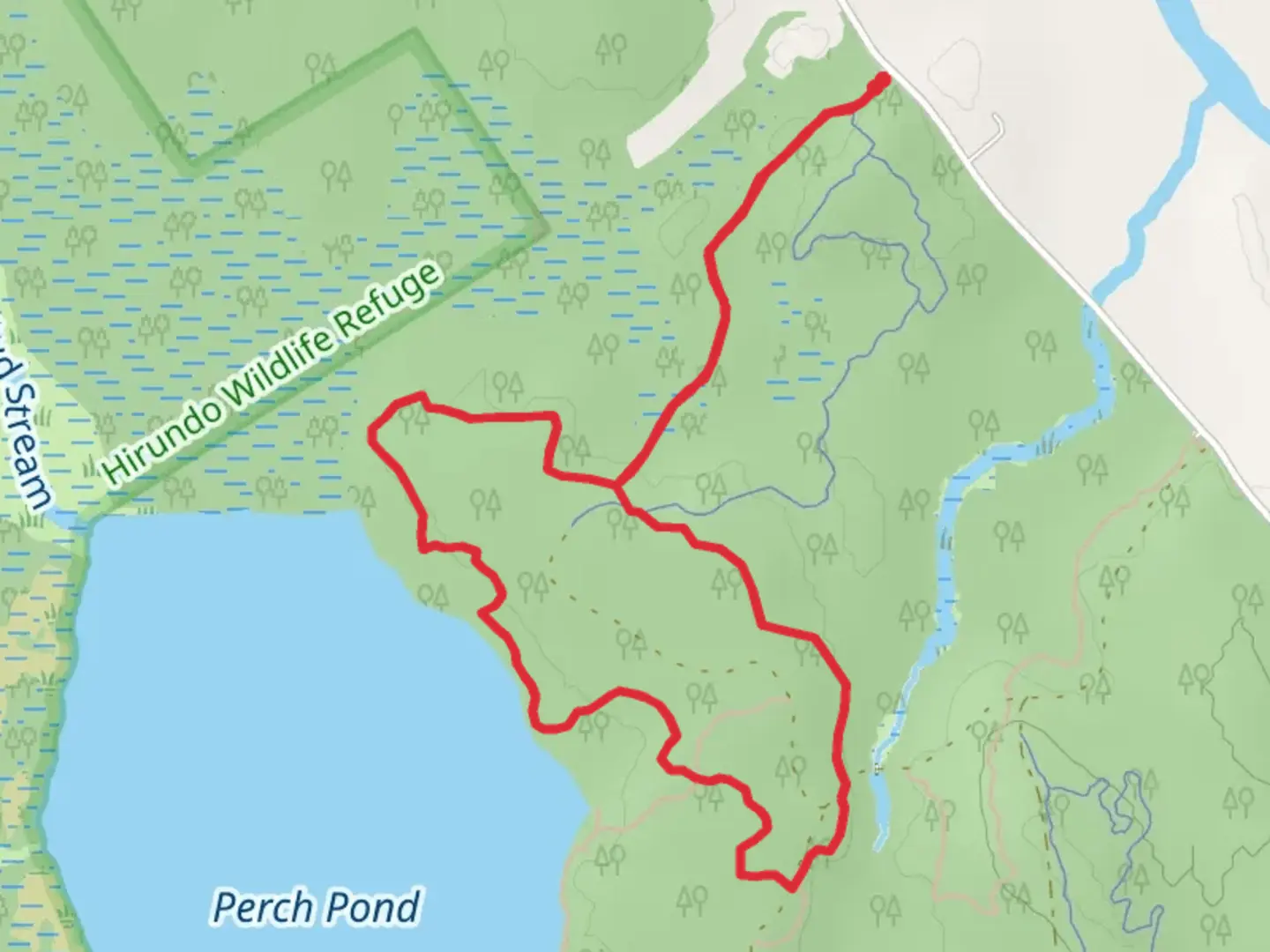 An image depicting the trail Perch Pond from Kirkland Road and its surrounding area.