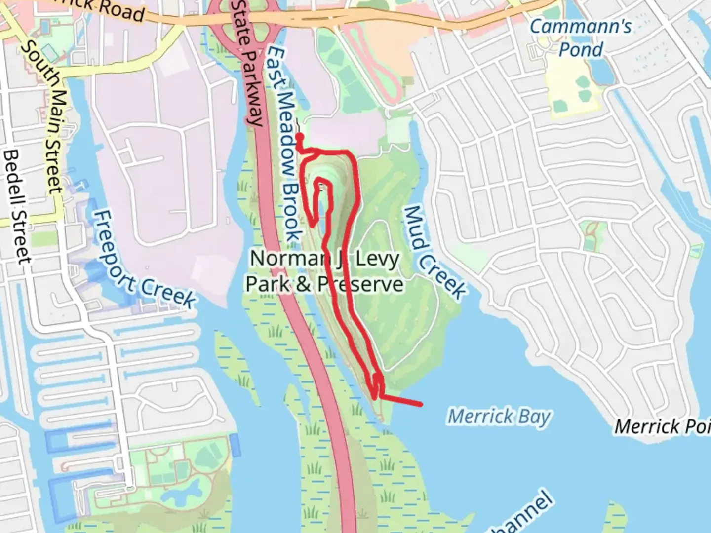 An image depicting the trail Norman J Levy Park and Preserve Loop Trail and its surrounding area.