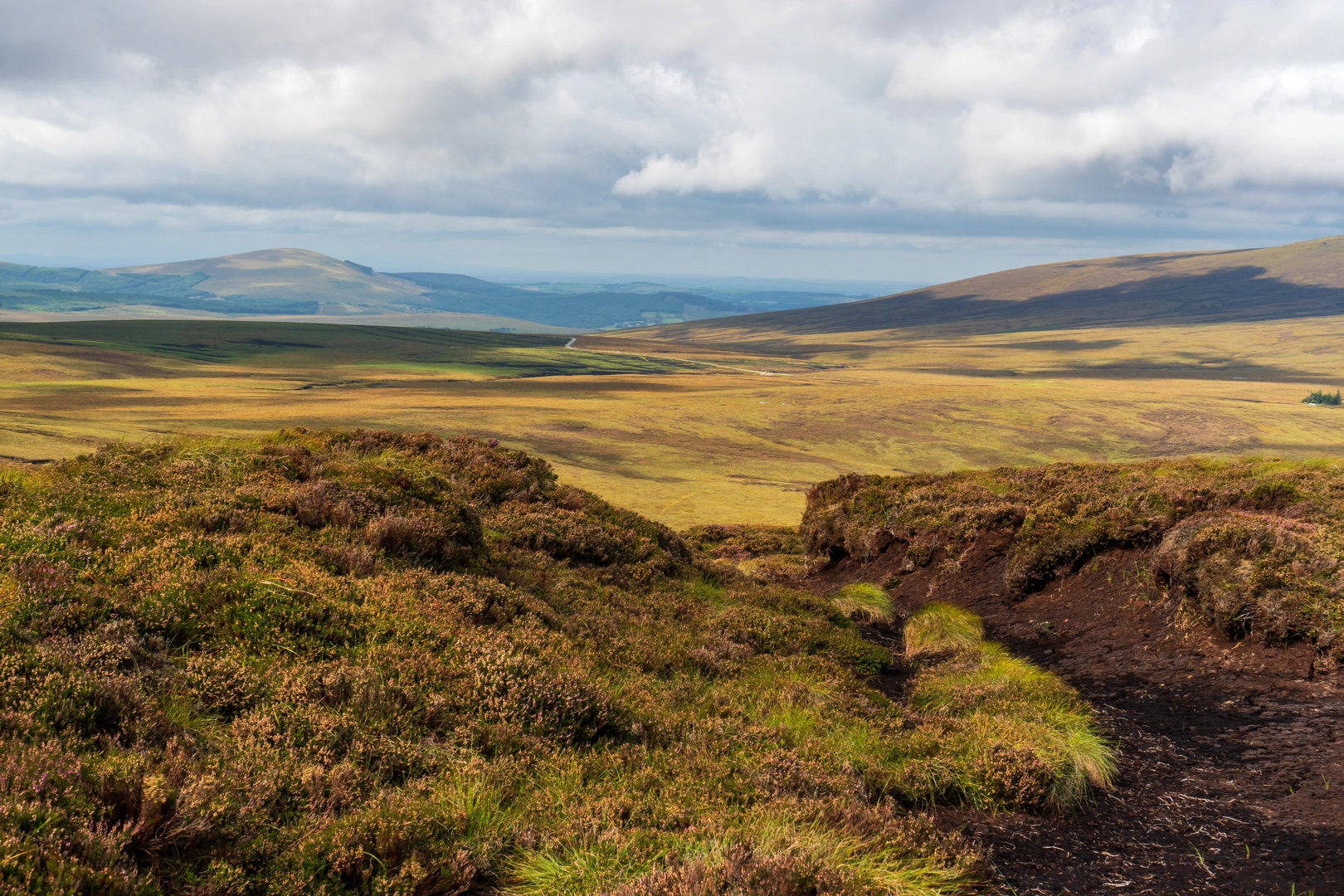 An image depicting the trail Drewstown Woods - Girley Bog Walk and its surrounding area.