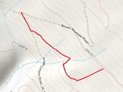 Jungle Connect Trail