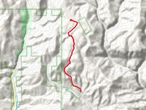 West Elk Stock Driveway Trail