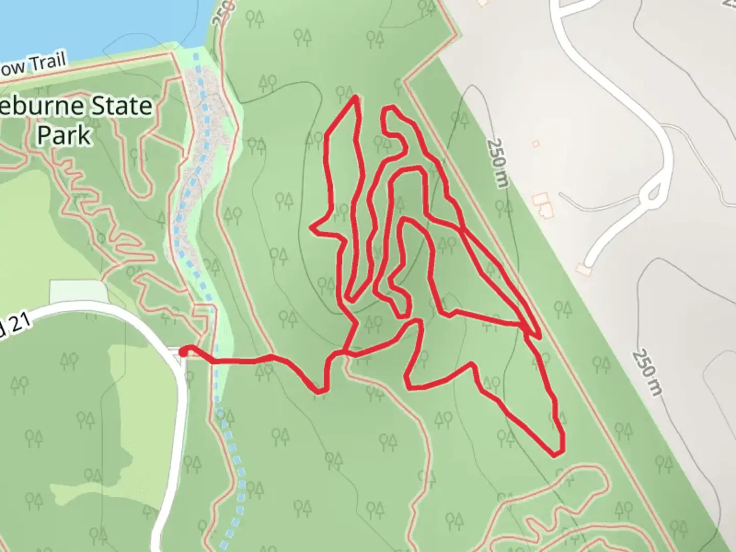 An image depicting the trail Park Road 21 Loop - East and its surrounding area.