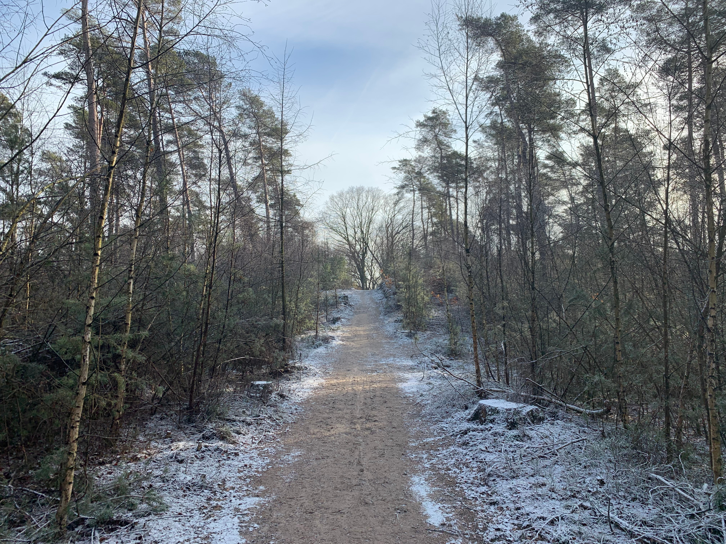 An image depicting the trail Braamberg, Ugchelsche Bosch and Spelderholt Loop and its surrounding area.