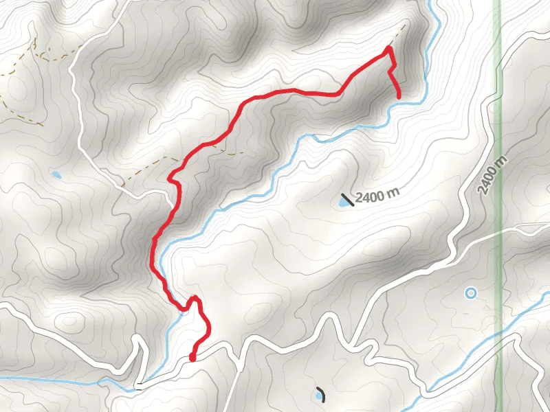 Walk along Little Saint Charles Creek