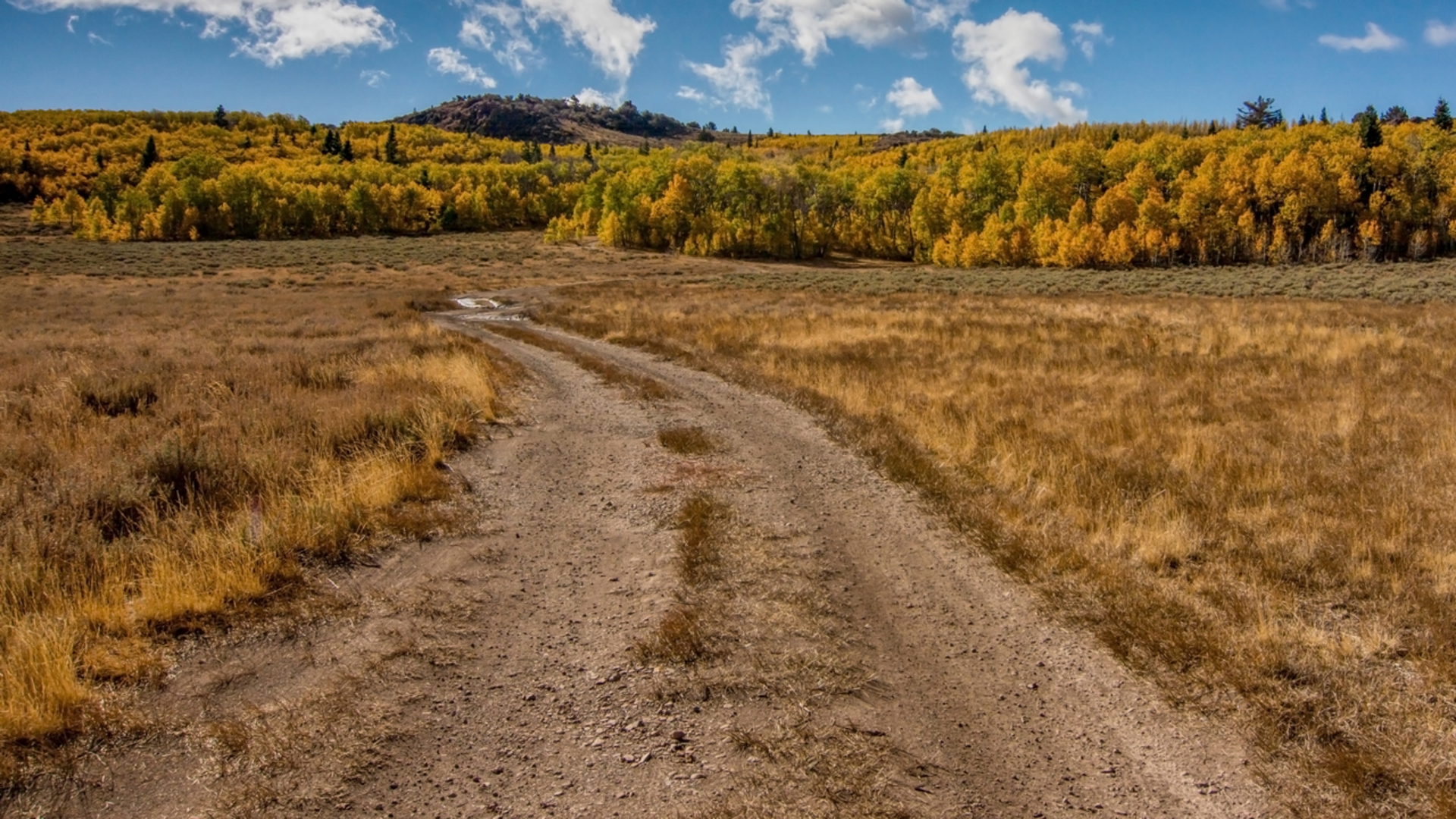 An image depicting the trail Monitor Pass Loop and its surrounding area.