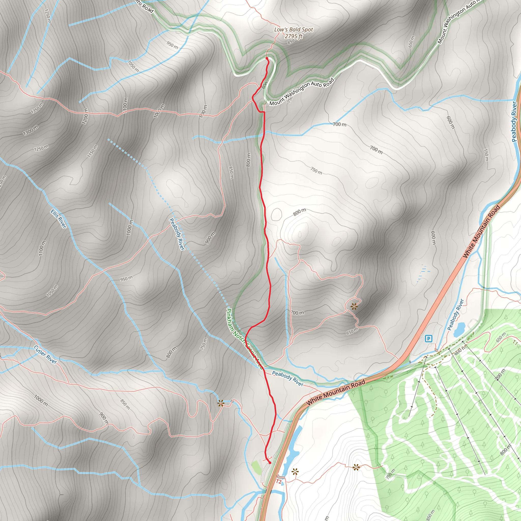 Old Jackson Road Trail mobile static map