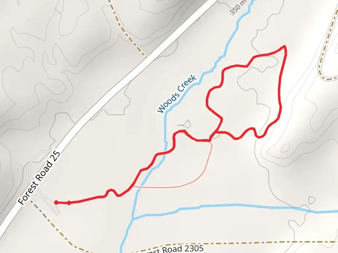 An image depicting the trail Old Growth Loop Trail and its surrounding area.