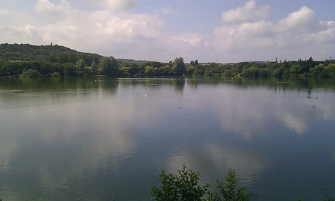 An image depicting the trail Fowlea Brook and Westport Lake Loop and its surrounding area.