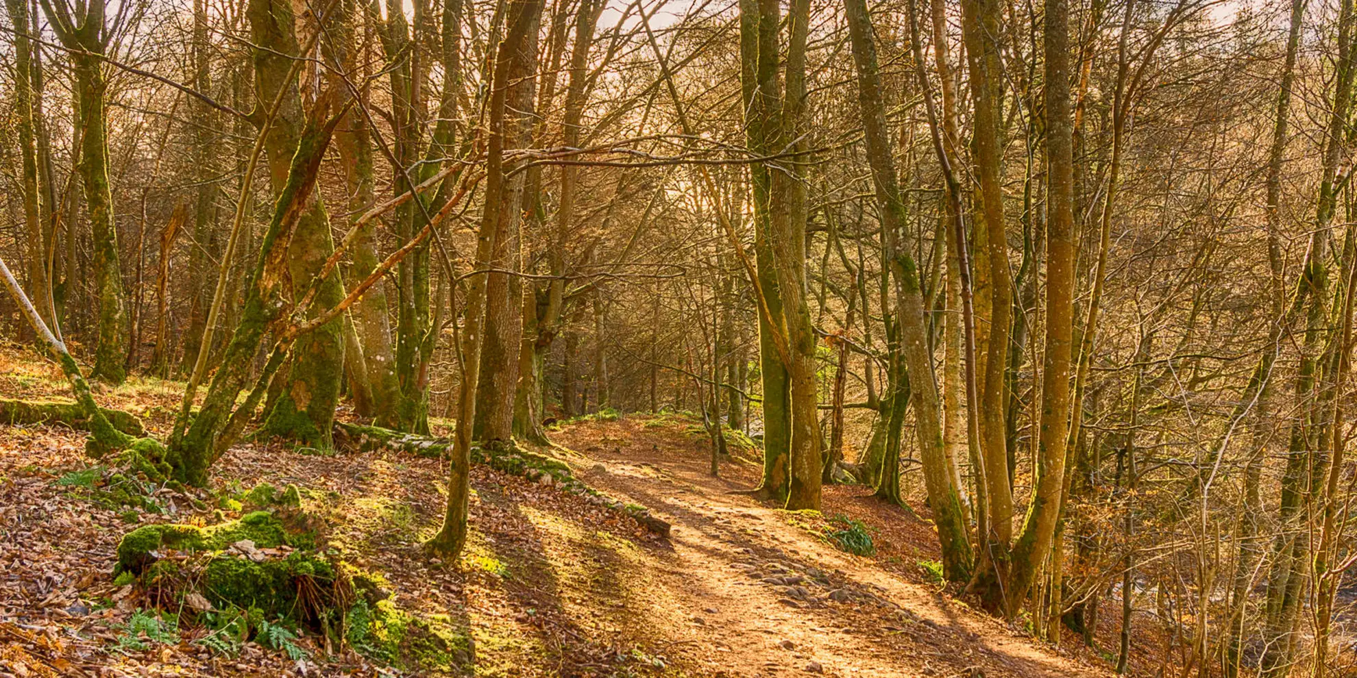 An image depicting the trail The Darn Walk - Dunblane and its surrounding area.