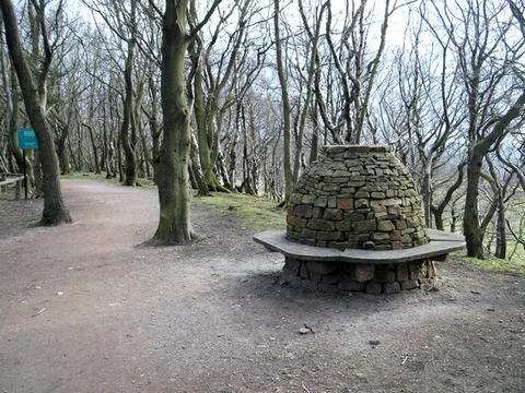 Stead Spring and Prior Royd Loop