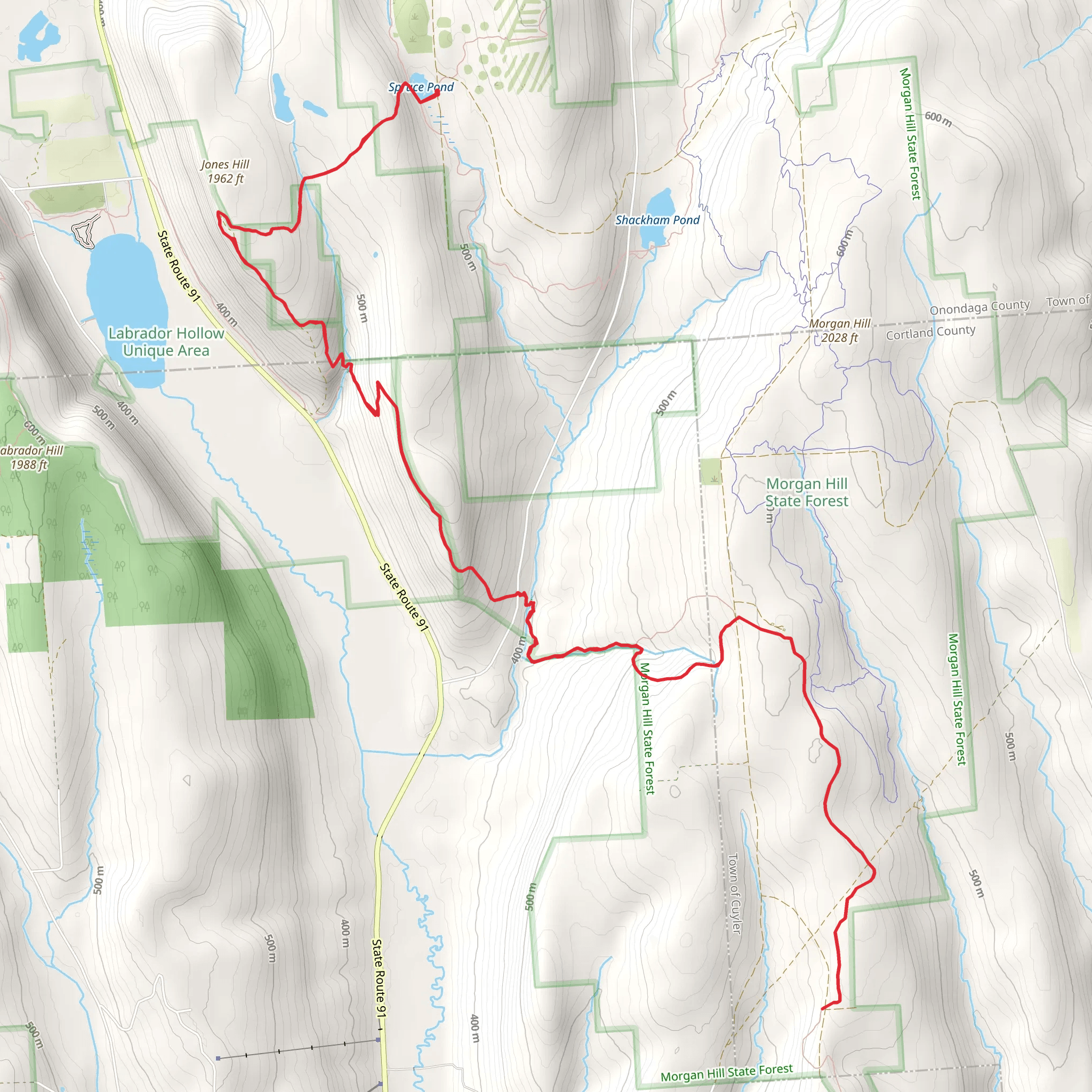 Jones Hill and Shackham Brook via Onondaga Trail mobile static map