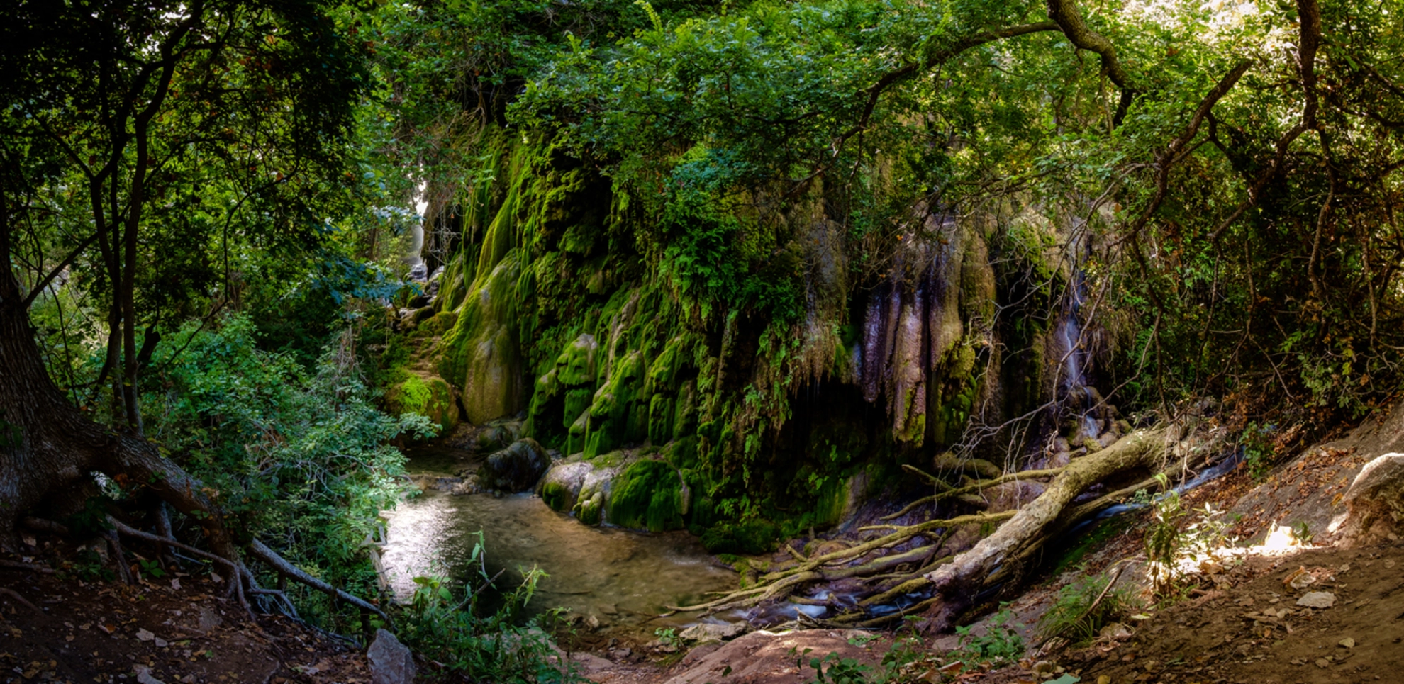 An image depicting the trail Lemons Ridge Pass Trail and its surrounding area.