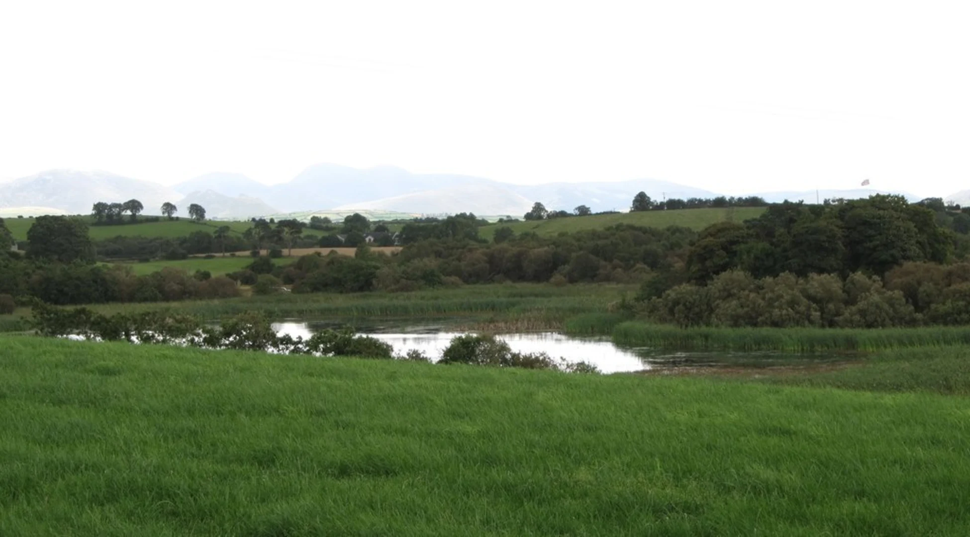 An image depicting the trail Ballyroney Lake and Bog Walk and its surrounding area.