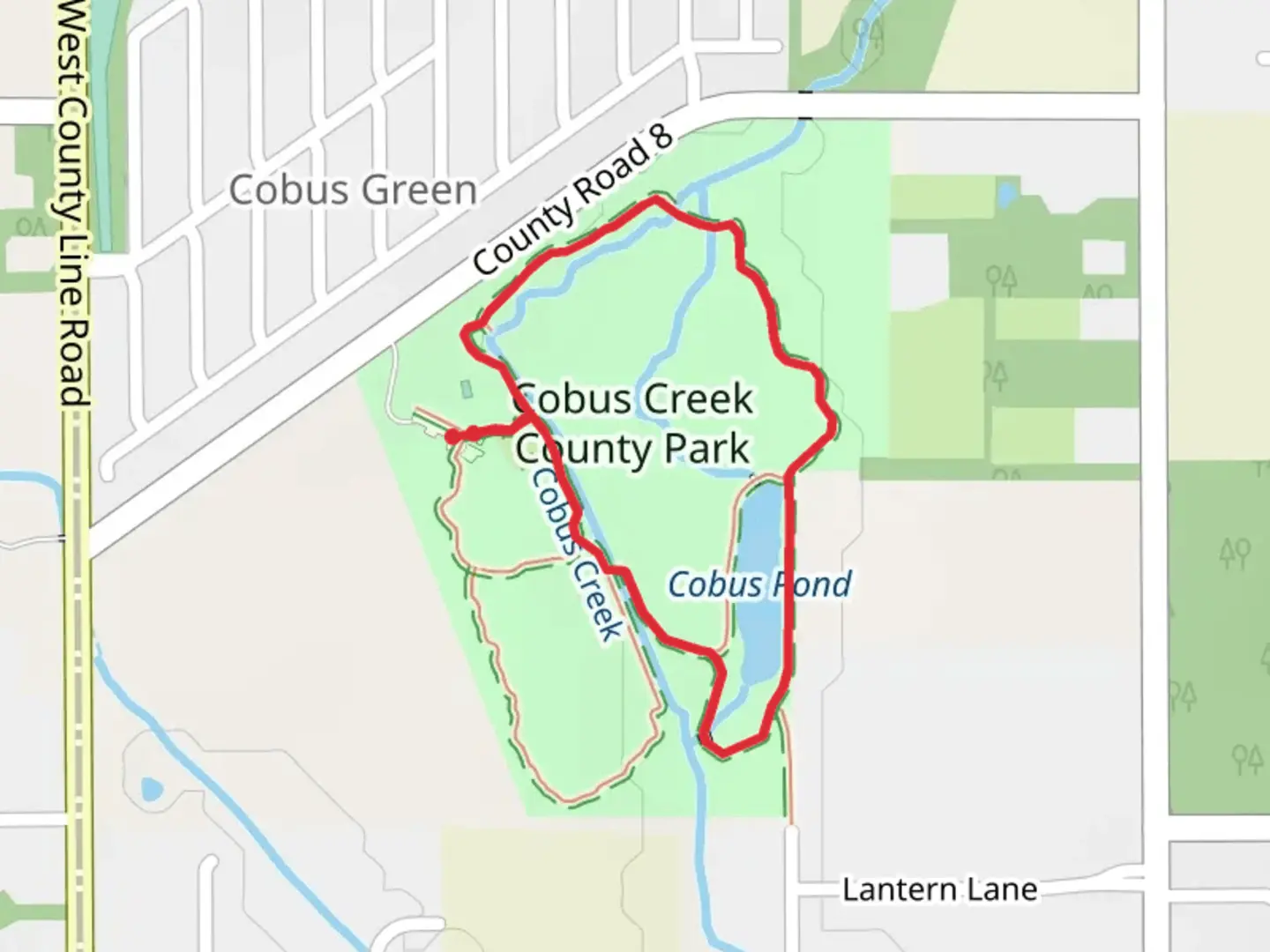 An image depicting the trail Cobus Pond Loop and its surrounding area.