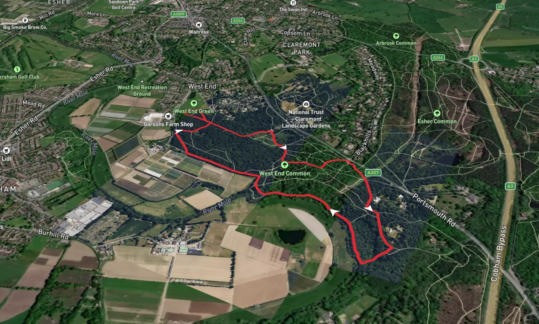 An image depicting the trail West End Common Walk and its surrounding area.