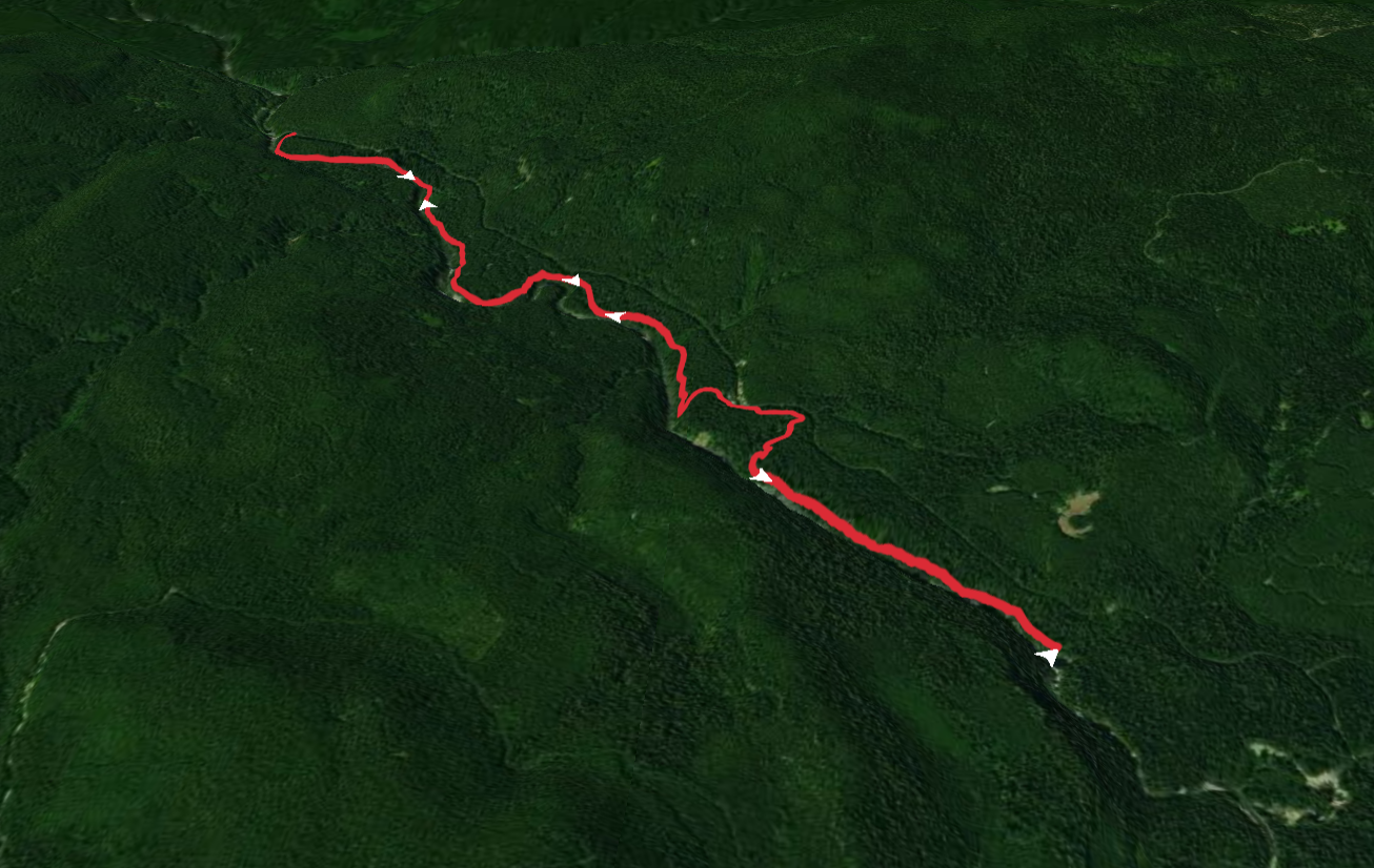 Lewis River Trail and Alec Creek