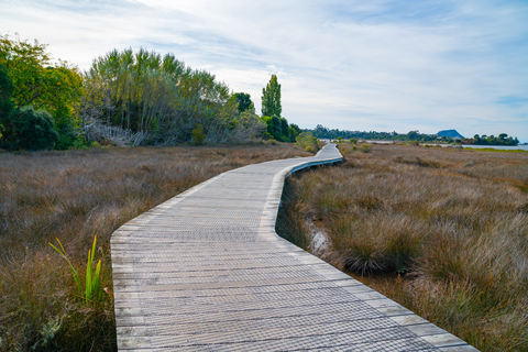 Waikareo Estuary Walkway Loop