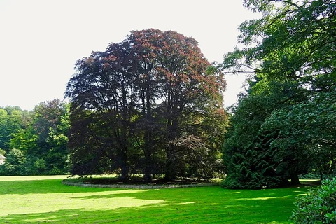 Presikhaaf to Arnhem Centraal via Sacre Coeur, Park Angerenstein and Grote Vijver