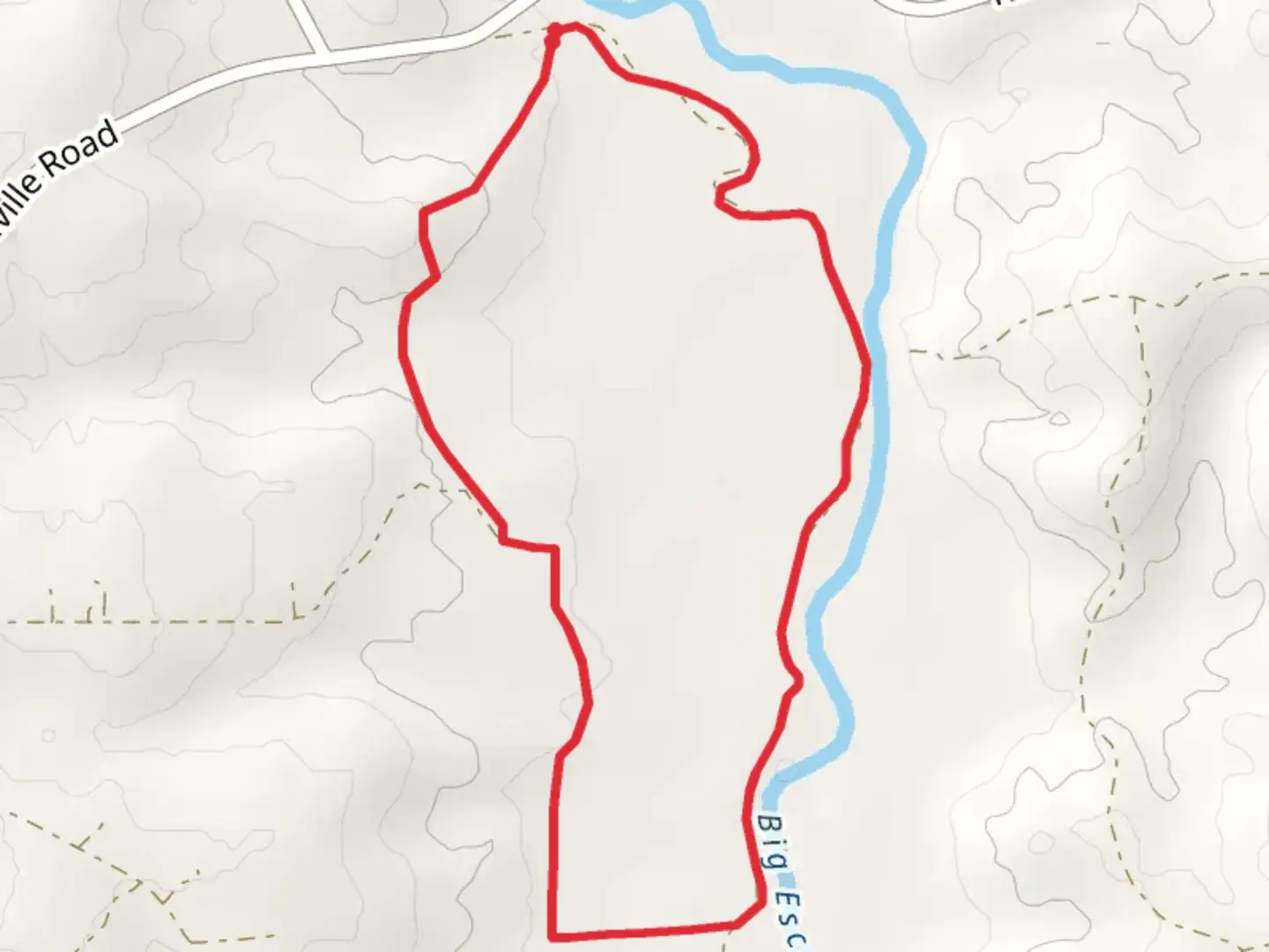 An image depicting the trail Big Escambia Creek Loop and its surrounding area.