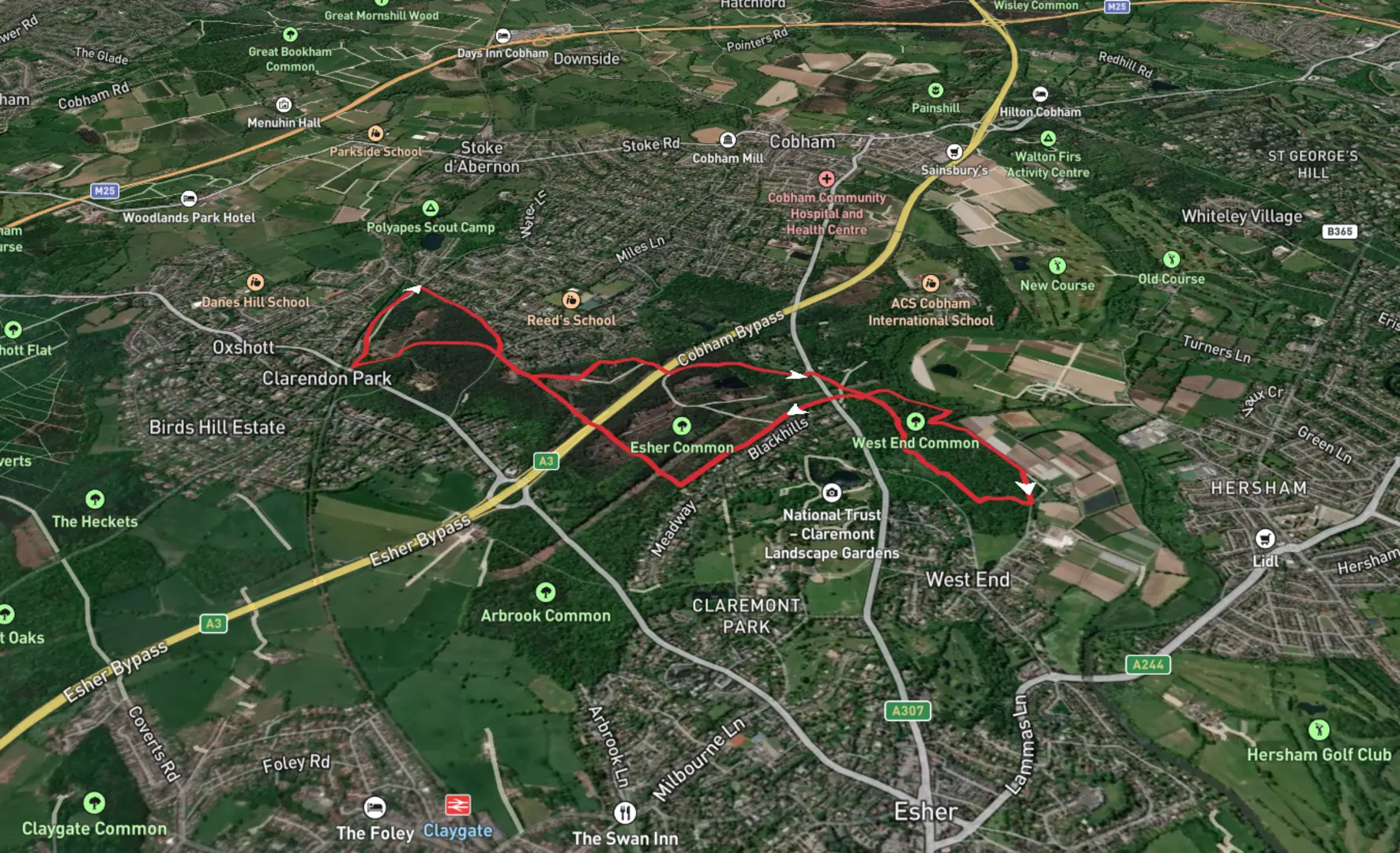 An image depicting the trail Clarendon Park to West End Common Loop and its surrounding area.