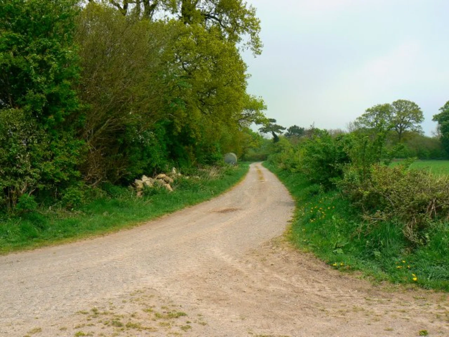 An image depicting the trail Avebury Western Loop via Oldbury Castle and its surrounding area.